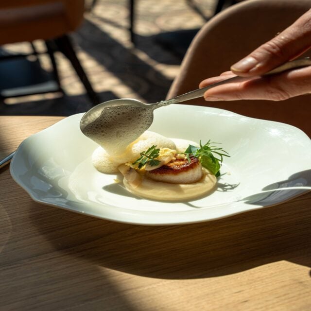 Coquilles op een bedje van schorseneren-crème en een saus van pernod en citroen. 🌿🍋