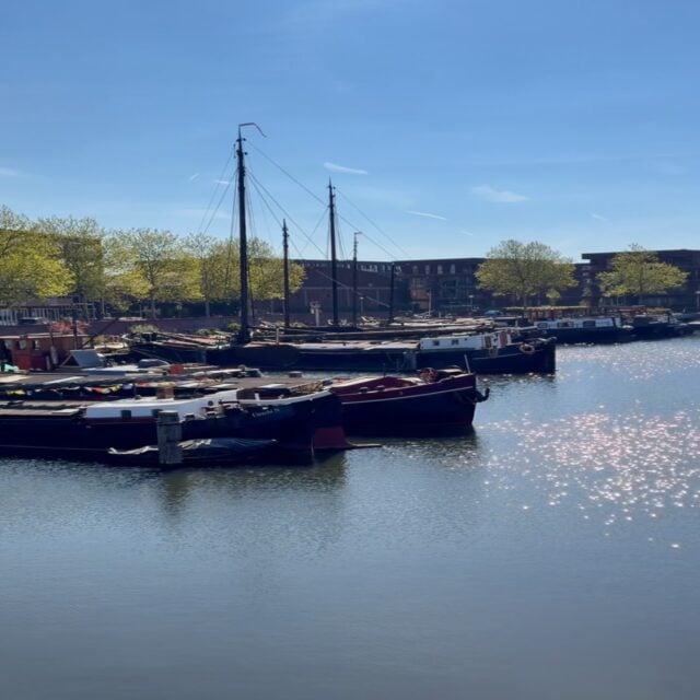 Zon, een terras aan het water, en heerlijk eten. Zo smaakt de zomer goed bij FICO. ☀️🌿