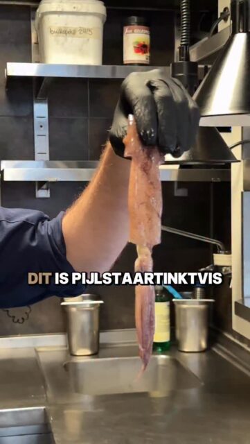 Dit is pijlstaartinktvis!🦑 Vandaag laten we zien hoe je die schoonmaakt en hoe je er een bijzonder gerechtje van kan maken. Met wie kom jij dit gerecht proeven? #FICO #Utrecht #pijlstaartinktvis