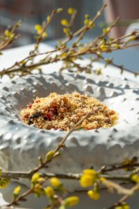 FICO – themalunch – 2025_12 FICO - themalunch - 2025_12