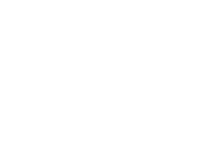 Fico Logo Header